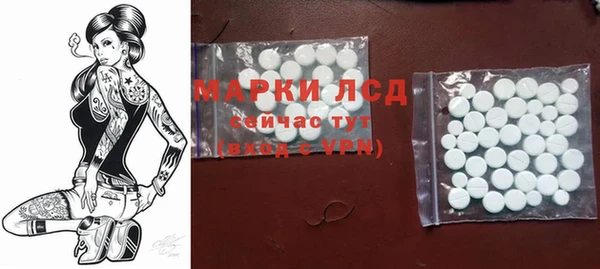 PSILOCYBIN Карталы