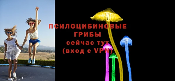 PSILOCYBIN Карталы
