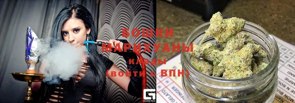 PSILOCYBIN Карталы