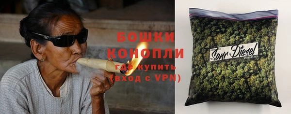 PSILOCYBIN Карталы
