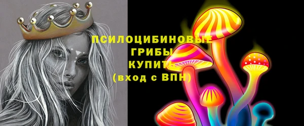 мет Касимов